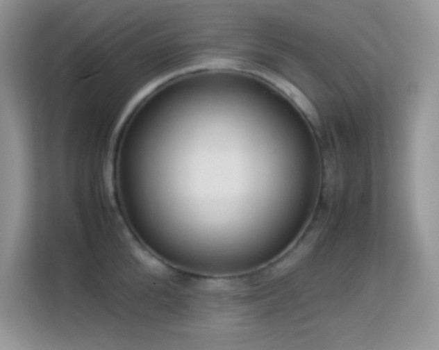 X0000113560904200909251056