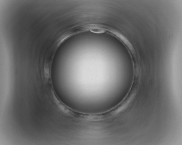 X0000113560905200909251056