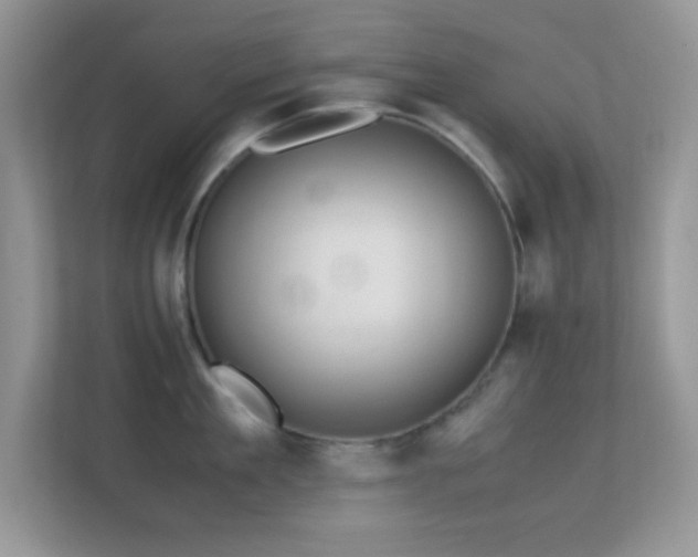 X0000113560909200909251056
