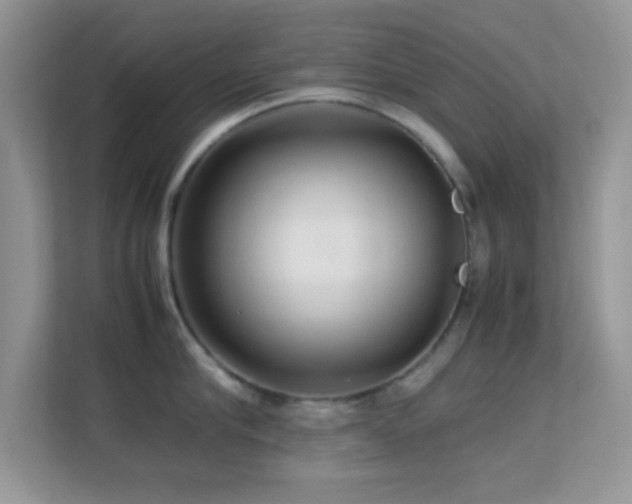 X0000113560910200909251056