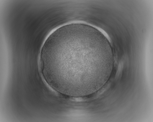 X0000113560911200909251056