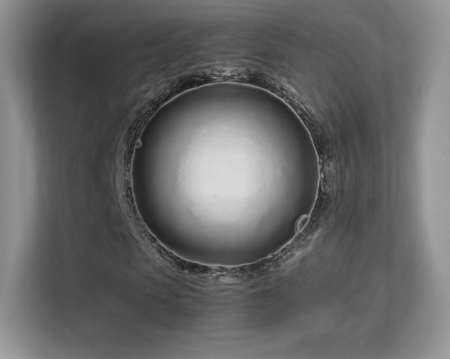 X0000113560913200909251055