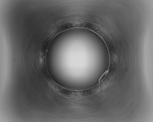 X0000113560914200909251055