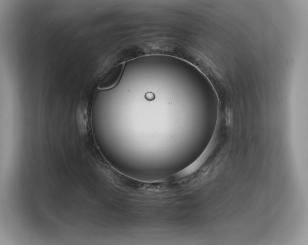 X0000113560915200909251055