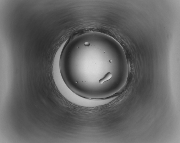 X0000113560916200909251055