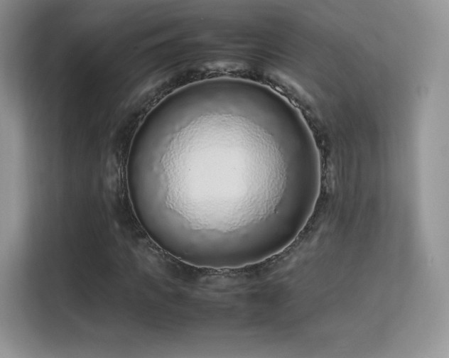 X0000113560917200909251055
