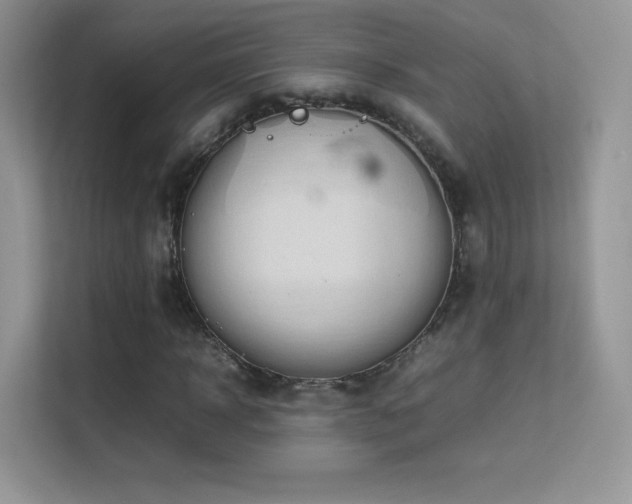 X0000113560918200909251055