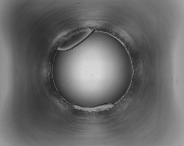 X0000113560920200909251055