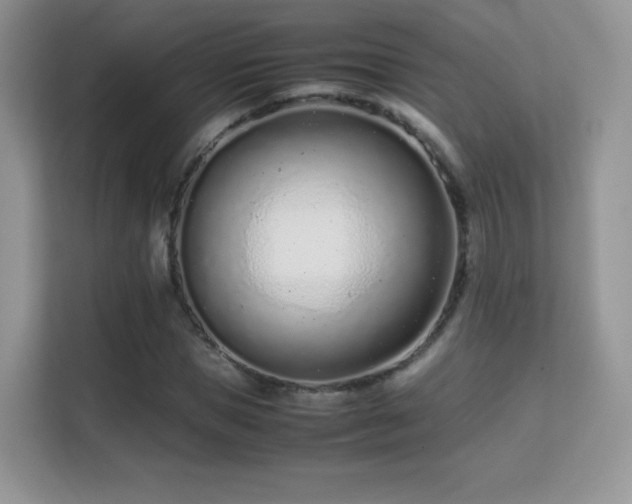 X0000113560921200909251055