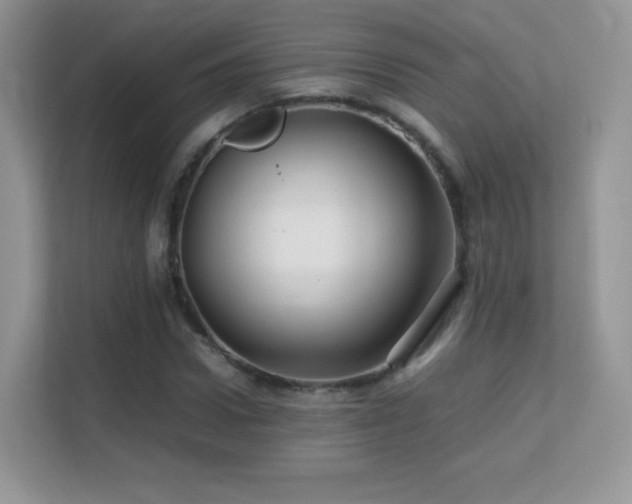 X0000113560922200909251055