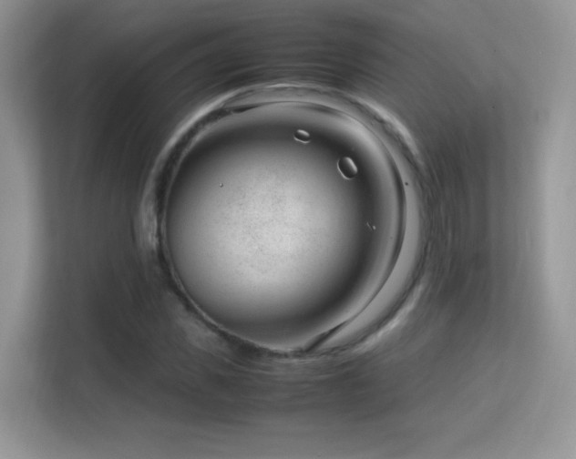 X0000113560925200909251055