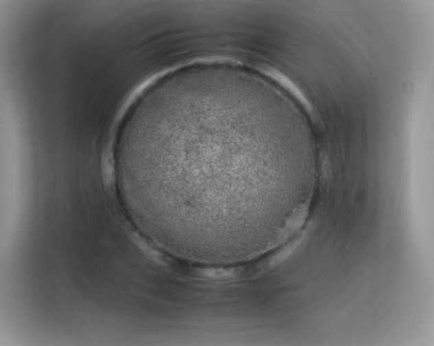 X0000113560927200909251055