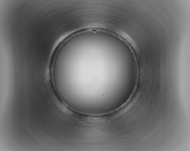 X0000113560928200909251055