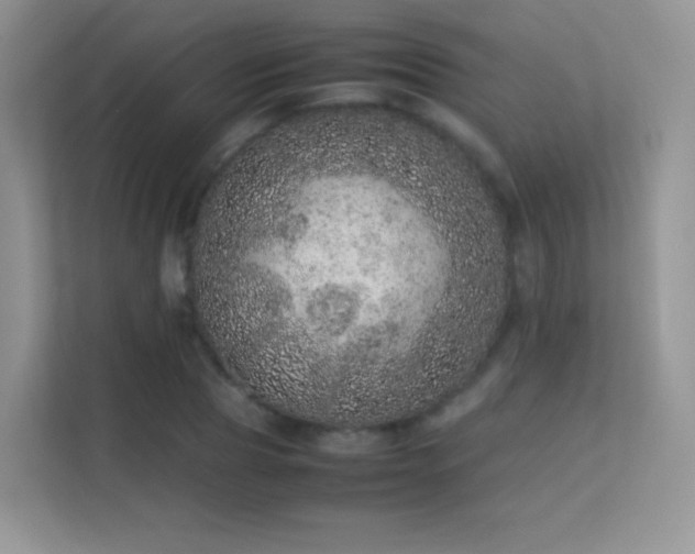 X0000113560929200909251055