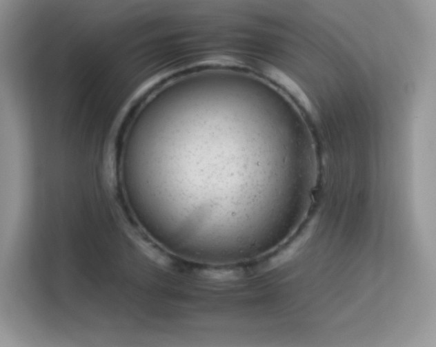 X0000113560931200909251055