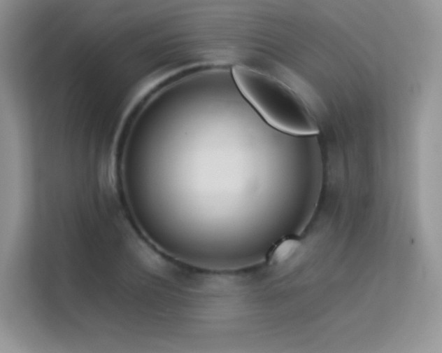X0000113560932200909251055