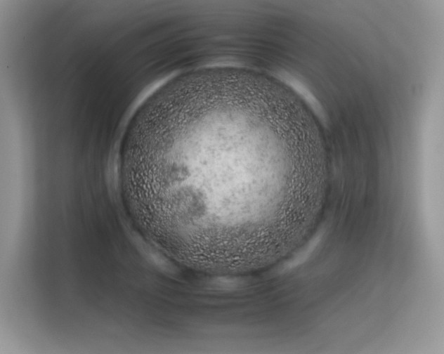 X0000113560933200909251055