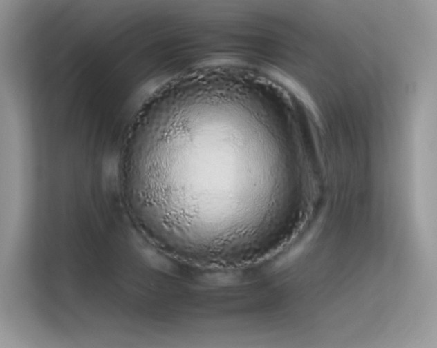 X0000113560937200909251055