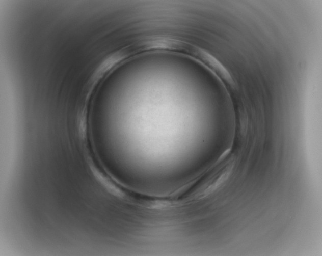 X0000113560938200909251055