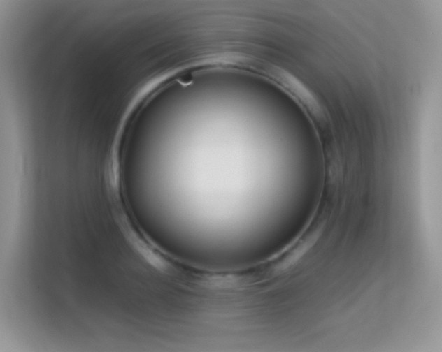 X0000113560940200909251055