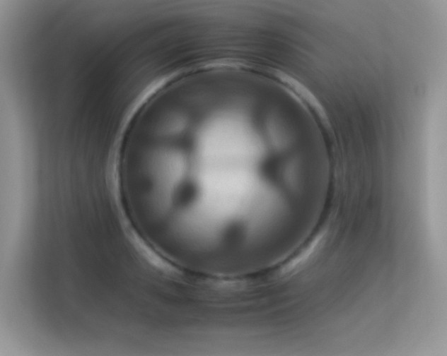 X0000113560941200909251055