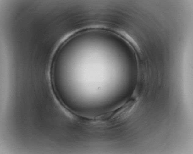 X0000113560943200909251055