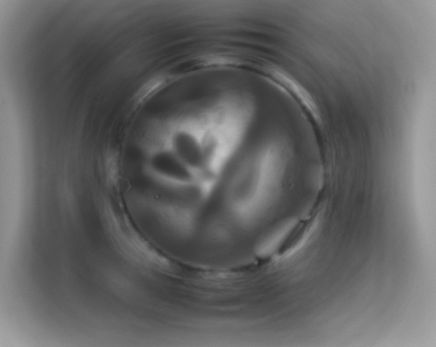 X0000113560945200909251055