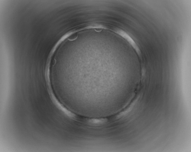 X0000113560947200909251055