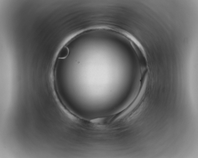 X0000113560951200909251055