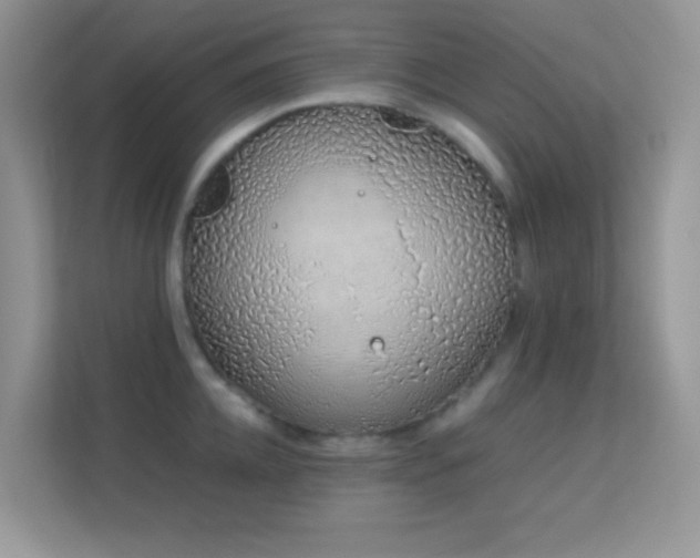 X0000113560952200909251055