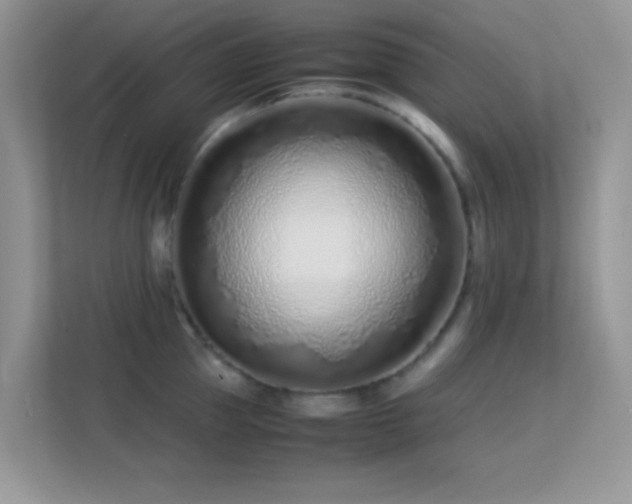 X0000113560953200909251055