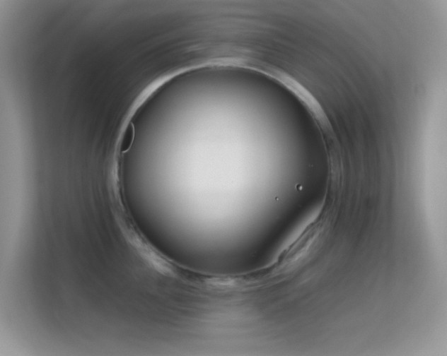 X0000113560956200909251056
