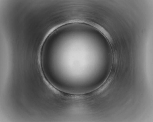 X0000113560958200909251056