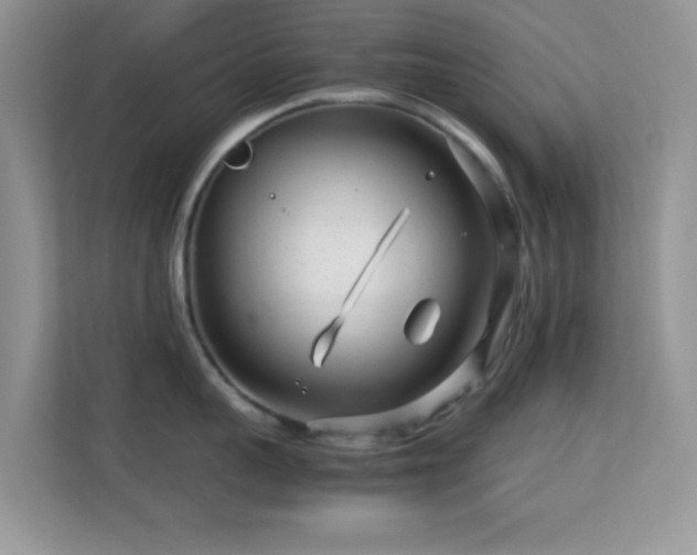 X0000113560959200909251056