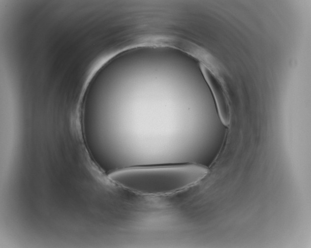 X0000113560960200909251056