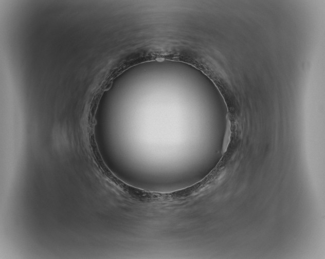 X0000113560961200909251055