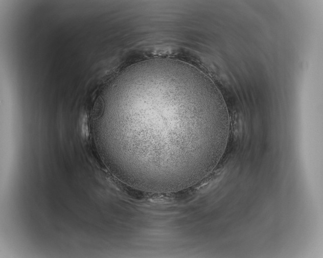 X0000113560962200909251055