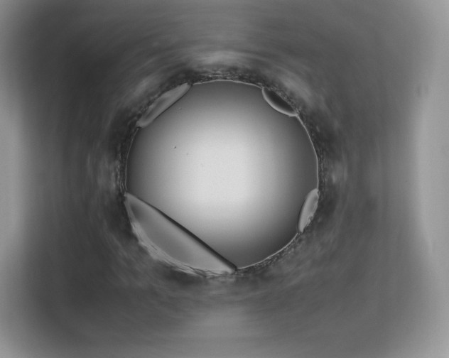 X0000113560965200909251055