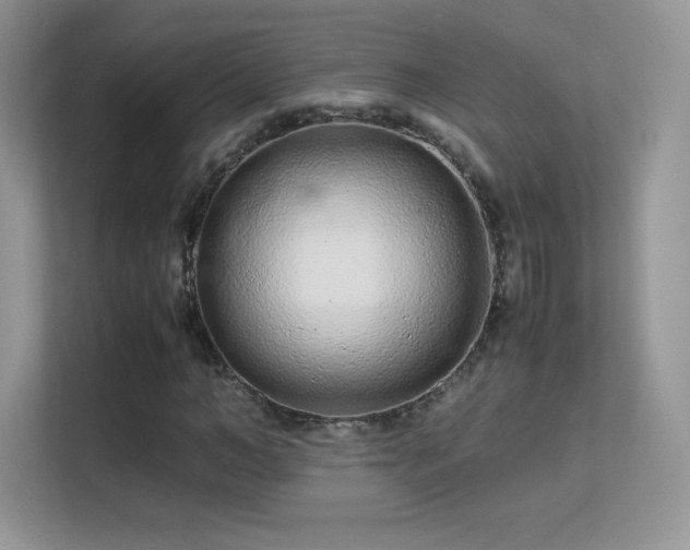 X0000113560966200909251055