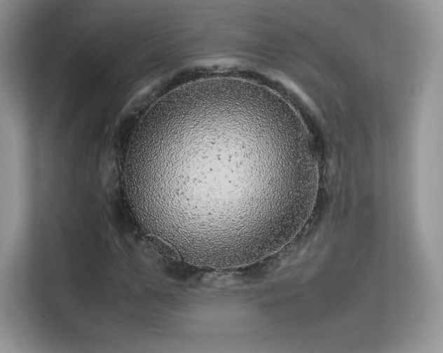 X0000113560967200909251055