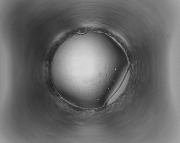 X0000113560968200909251055