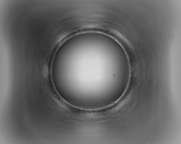 X0000113560969200909251055