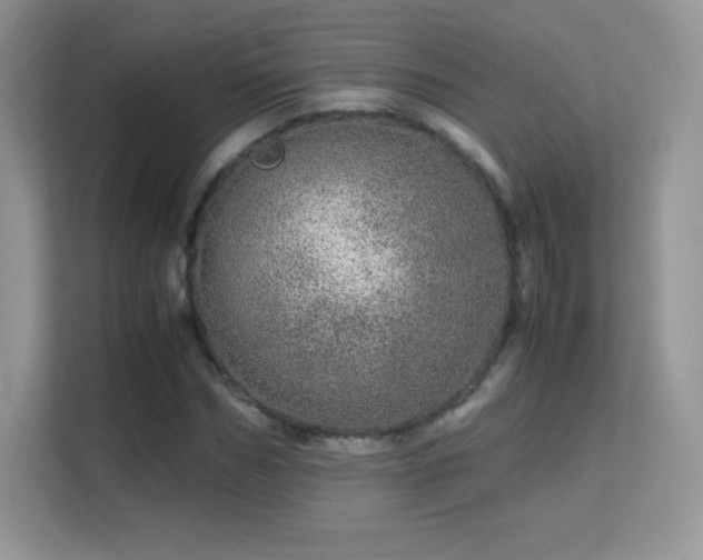 X0000113560970200909251055