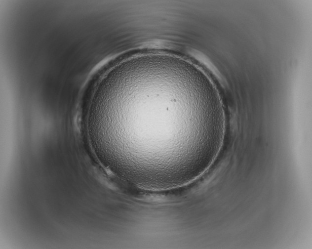 X0000113560971200909251055