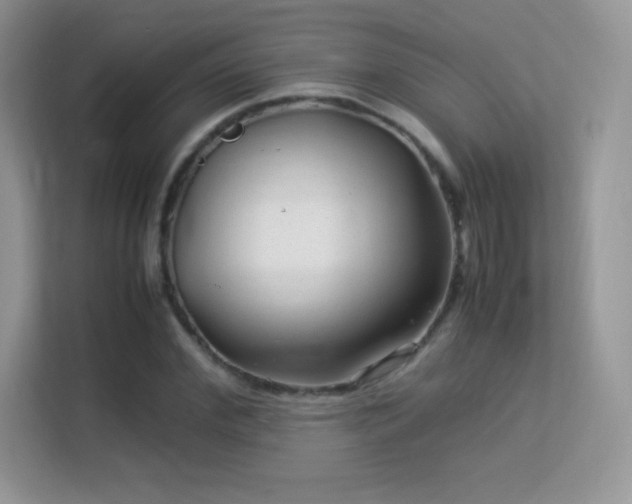 X0000113560972200909251055