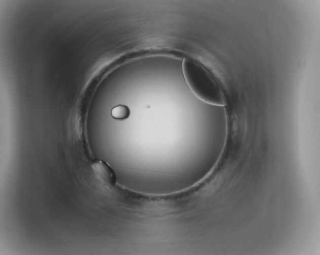 X0000113560973200909251055