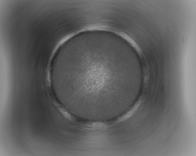 X0000113560974200909251055