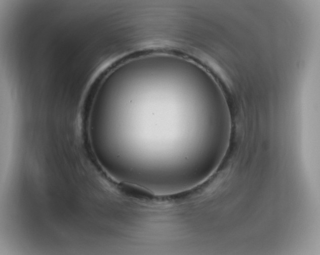 X0000113560975200909251055