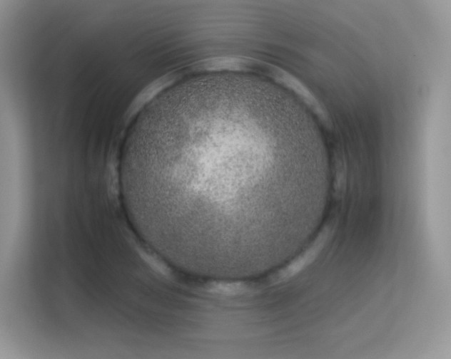 X0000113560978200909251055