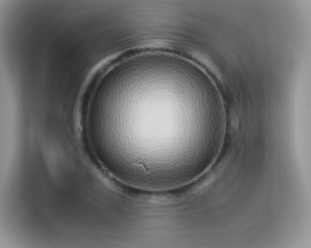 X0000113560979200909251055